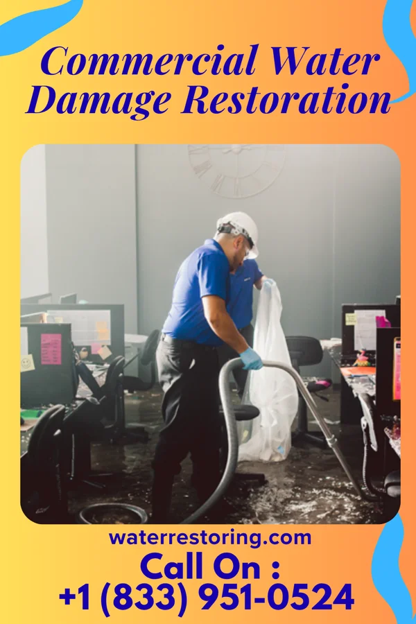 Commercial Water Damage Restoration in Forest Acres, SC