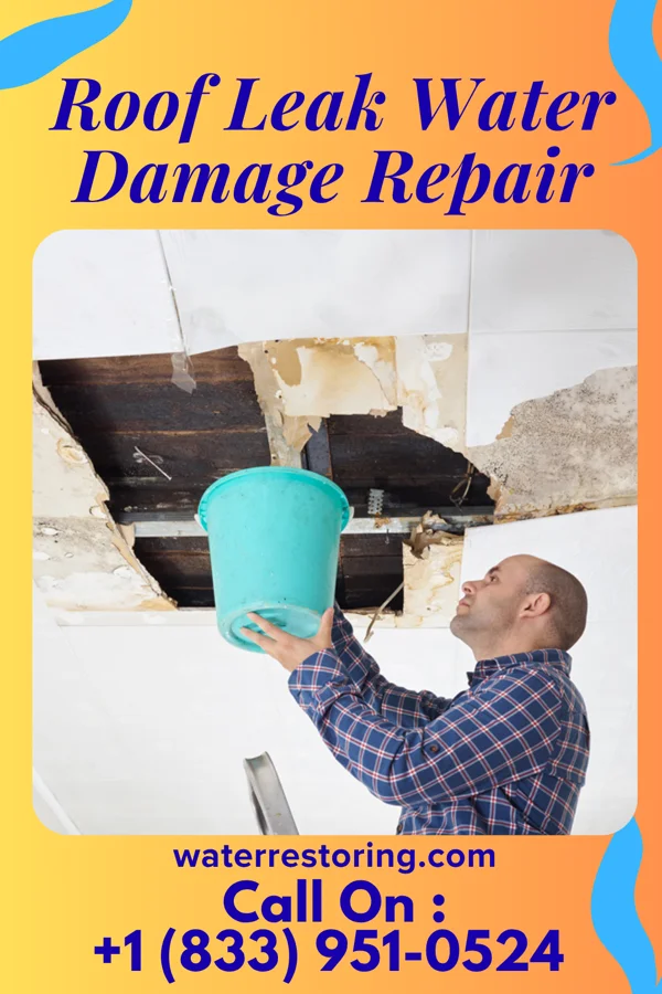 Roof Leak Water Damage Repair in Forest Acres, SC